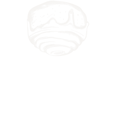 trigo sagadi panificadora